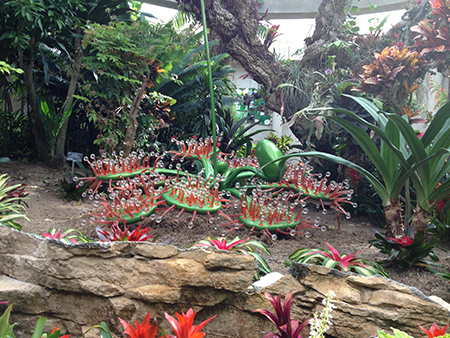 Savage Gardens - San Antonio Magazine