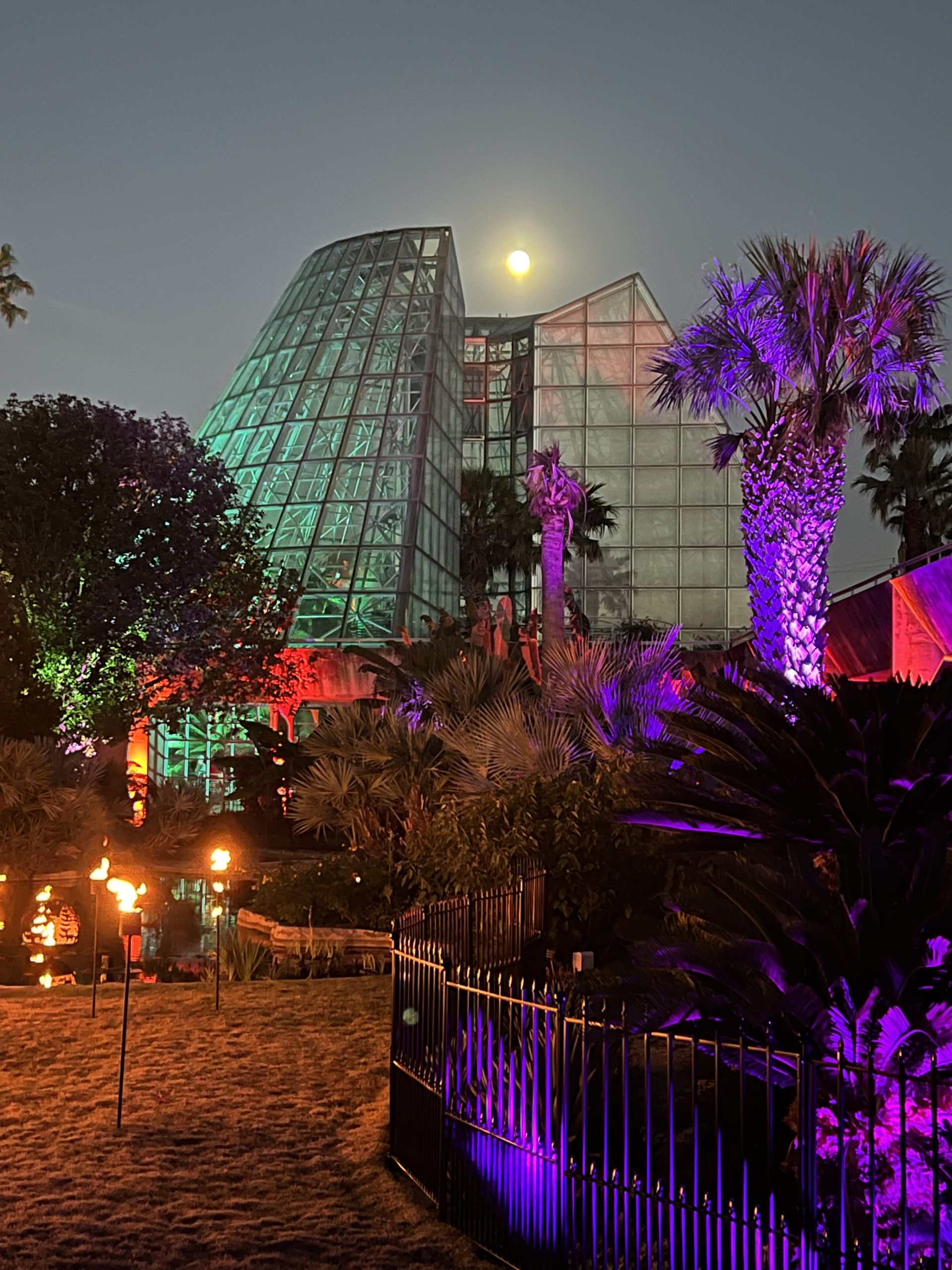 Lightscape Brings the Holidays to the San Antonio Botanical Garden ...