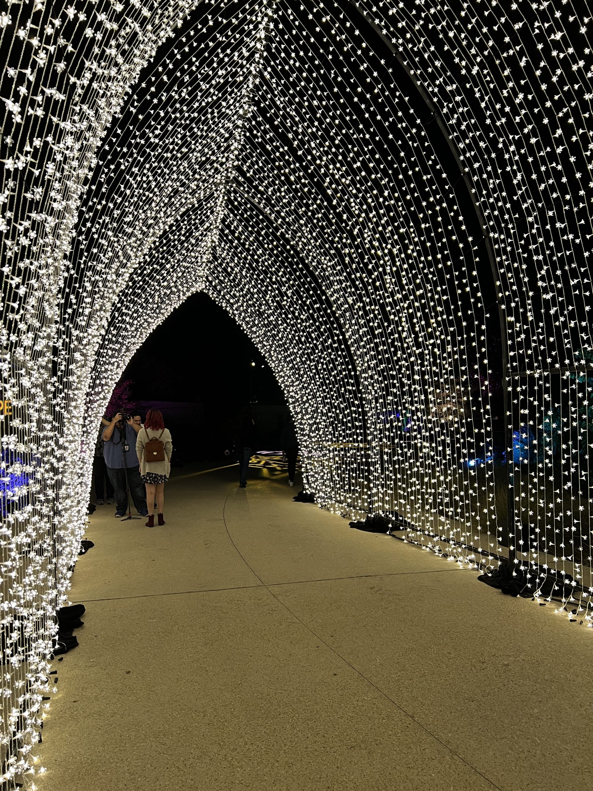 Lightscape Brings the Holidays to the San Antonio Botanical Garden ...