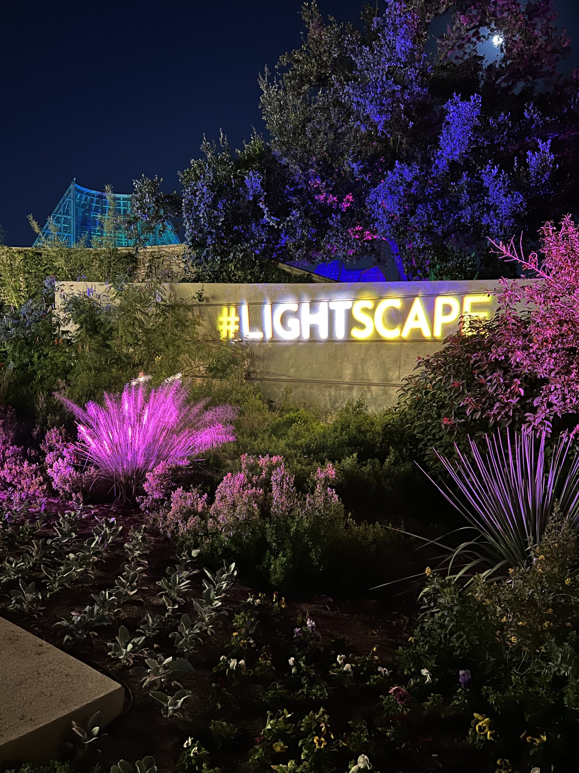 Lightscape Brings the Holidays to the San Antonio Botanical Garden ...