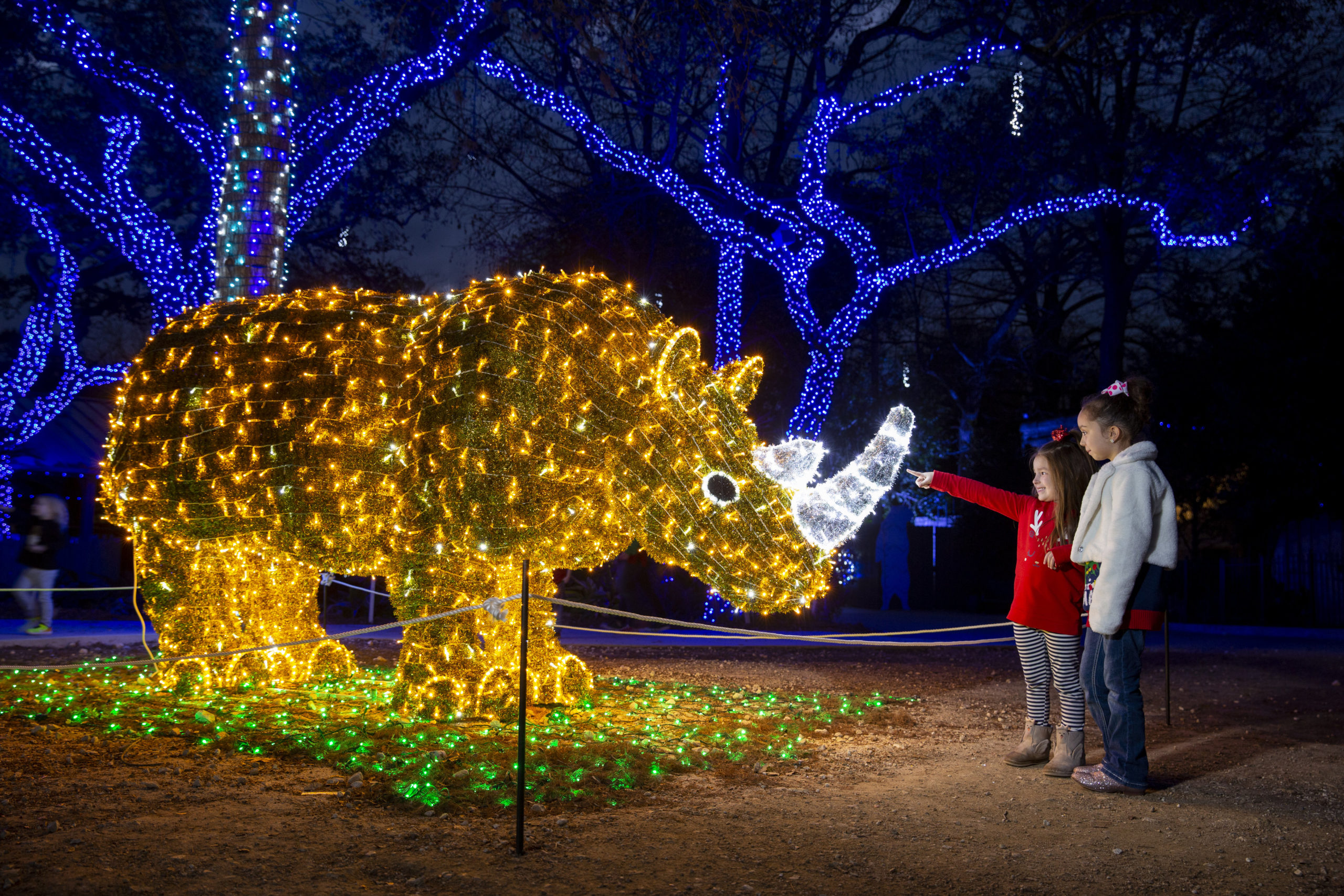 Zoo Lights is Back - San Antonio Magazine