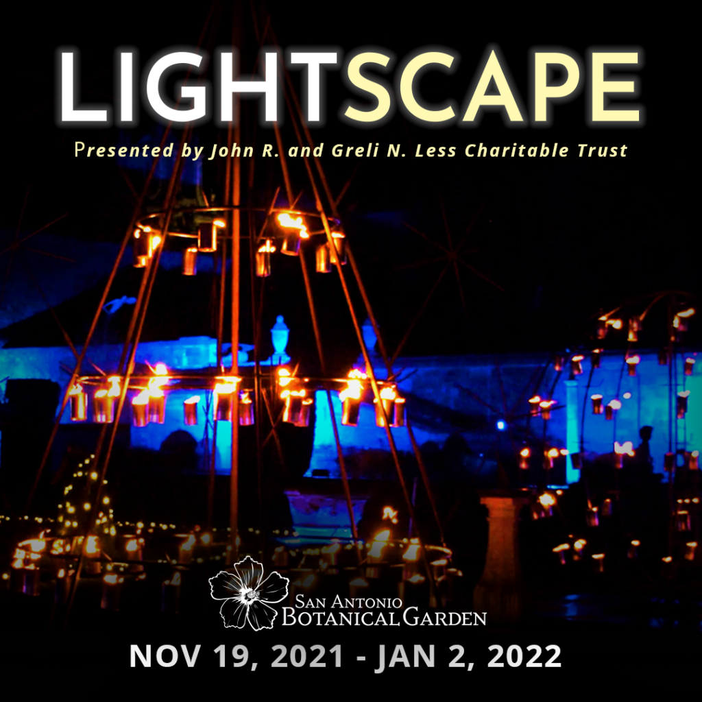 Lightscape at the San Antonio Botanical Garden - San Antonio Magazine