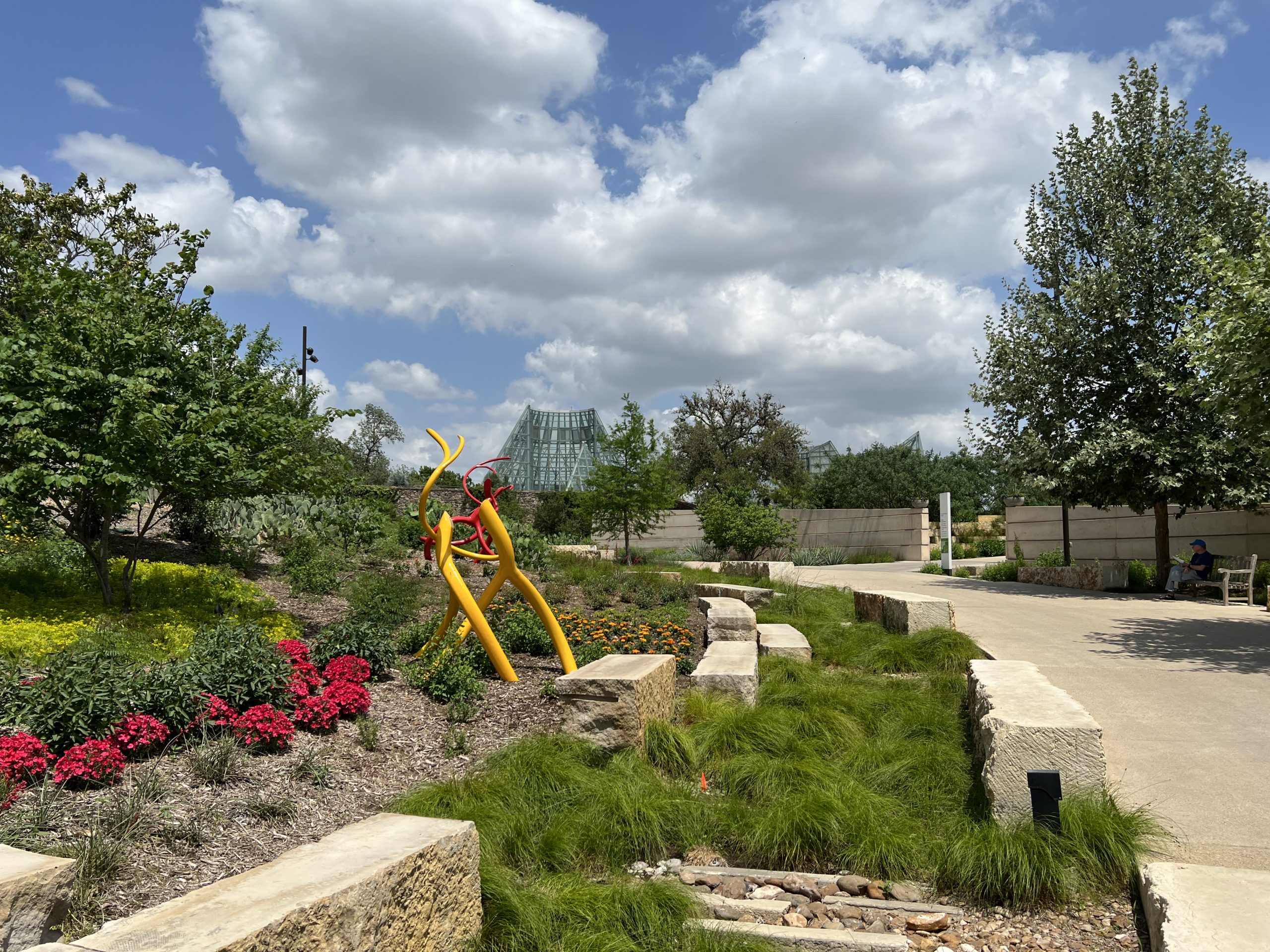 See Steve Tobin's “Rooted” at the San Antonio Botanical Garden