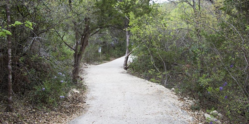 Plants with Purpose: Guided Hike in Crownridge Canyon Natural Area ...