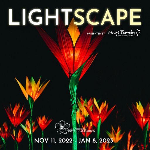 Lightscape Returns to San Antonio Botanical Garden with New Illuminated ...