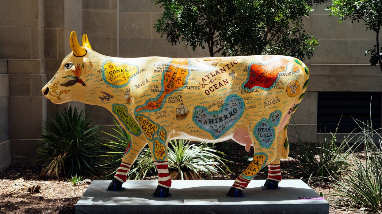 CowParade Returns to San Antonio With a Citywide Stampede of Art