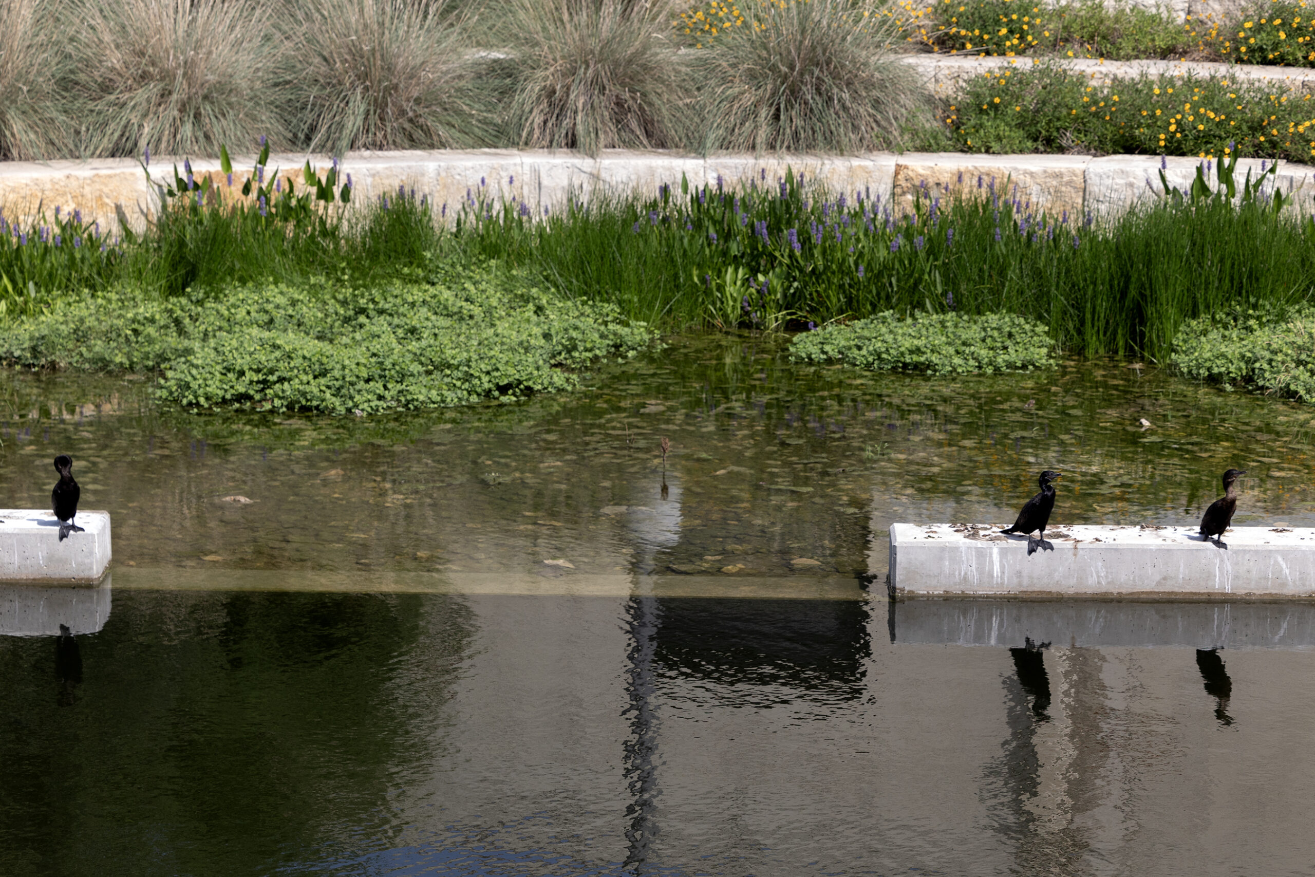 Beautiful' San Pedro Creek Culture Park Ready to Wow - San Antonio
