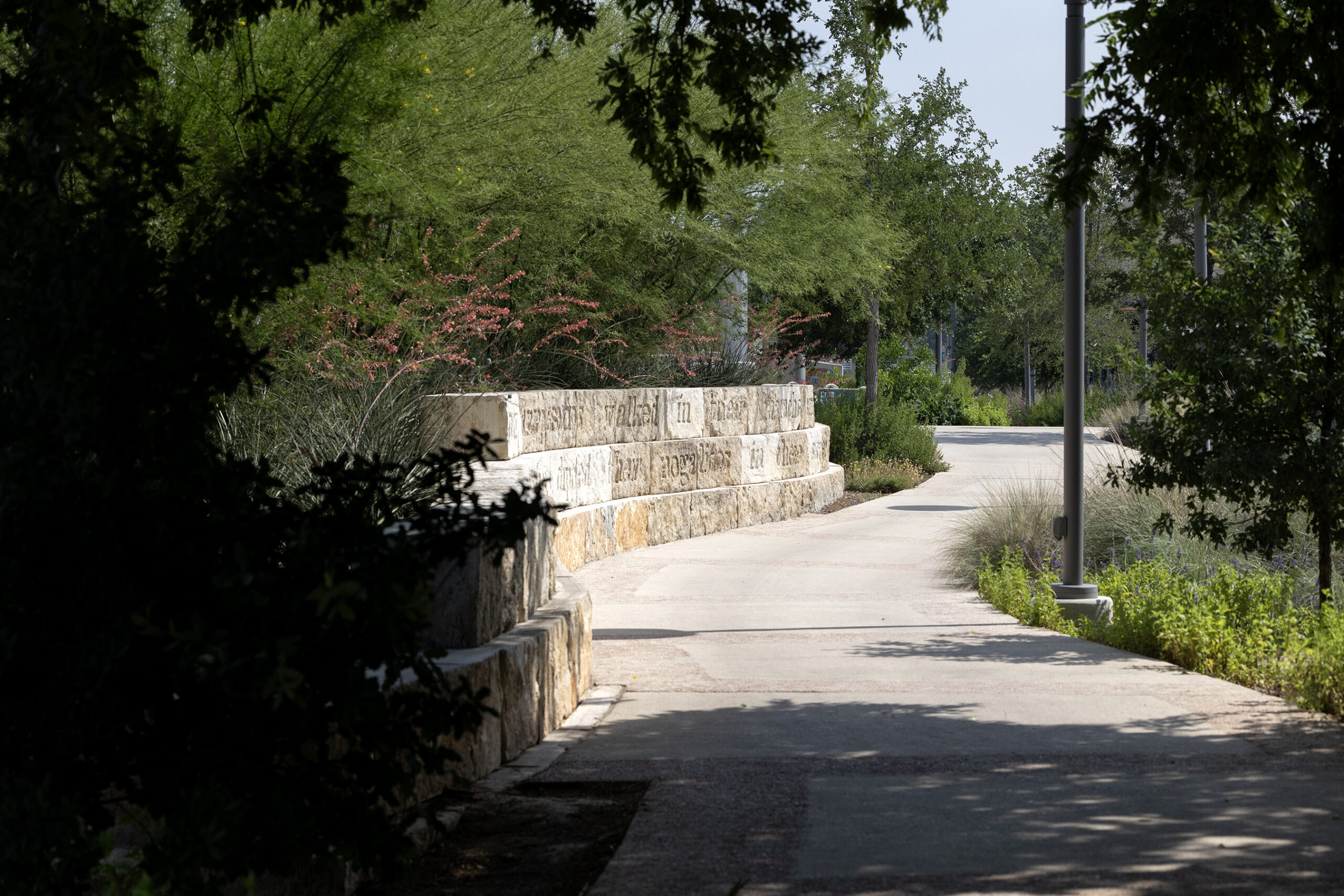(A0028)ペドロ(PEDRO MUNOZ)「街並」 San Jose moves forward to keep San Pedro Street a permanent